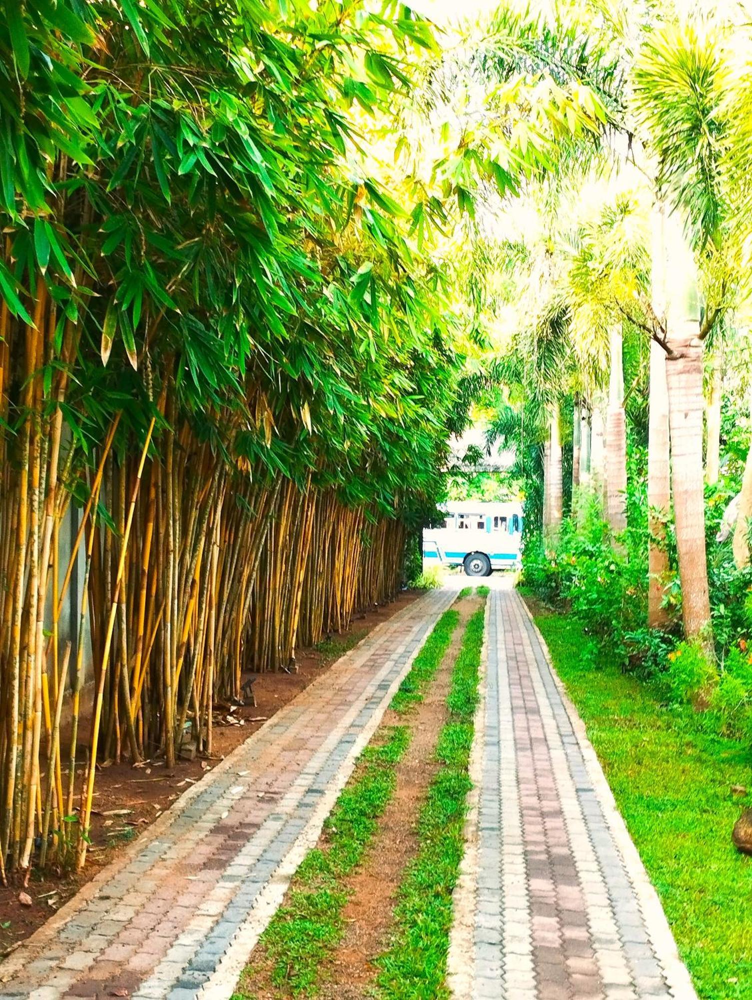 Hotel Waasala Leisure Anuradhapura Esterno foto